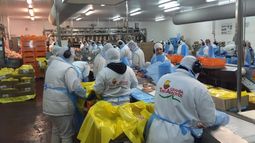 EN LUCHA. Los trabajadores de Granja Tres Arroyos, en alerta por suspensiones. EN LUCHA. Los trabajadores de Granja Tres Arroyos, en alerta por suspensiones.