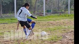 Ramos generales