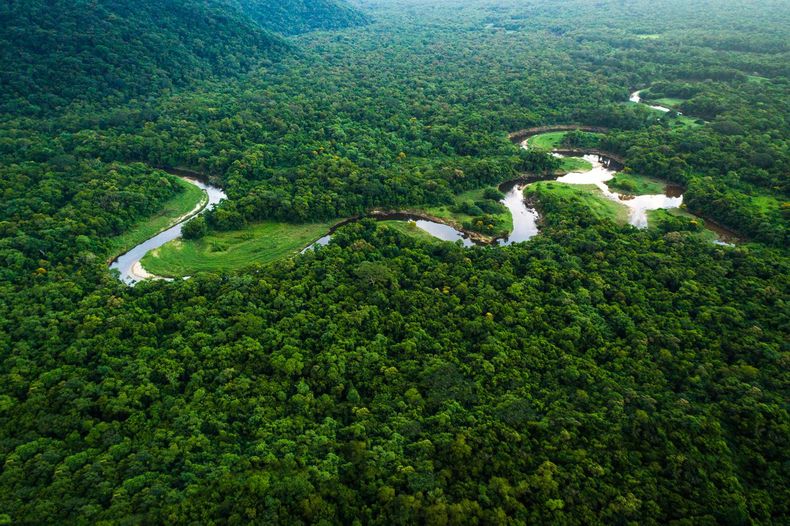 Un gran porcentaje del oxígeno de la Tierra procede del Amazonas. (nucleovisual.com).jpg