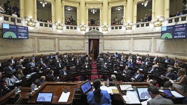 SENADO. El martes empieza el debate por la despenalización del aborto..