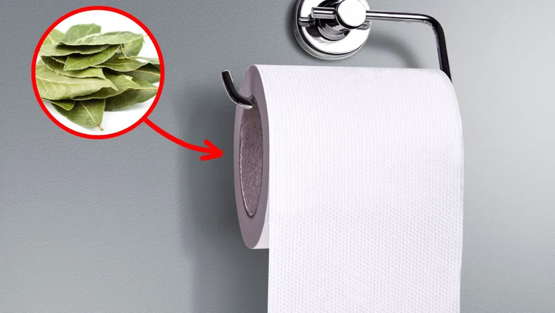 La tendencia de colocar laurel en el papel higiénico.(ensedeciencia.com)..webp