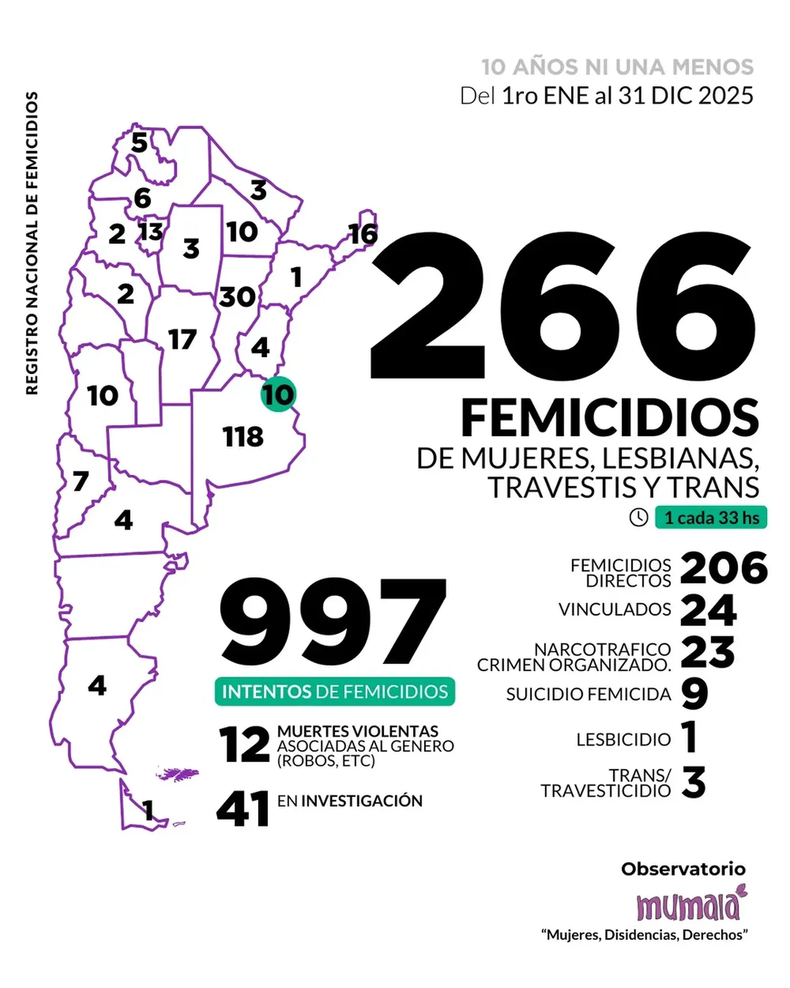 El informe reveló que en 2025 se registraron 266 femicidios en el país, uno cada 33 horas, y casi 1.000 intentos de asesinato por odio de género.