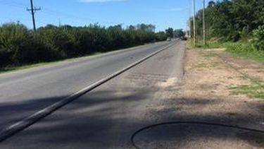 Avenida Dardo Rocha. El sitio donde se produjo el accidente en el que resultó herido un ciclista.&nbsp;