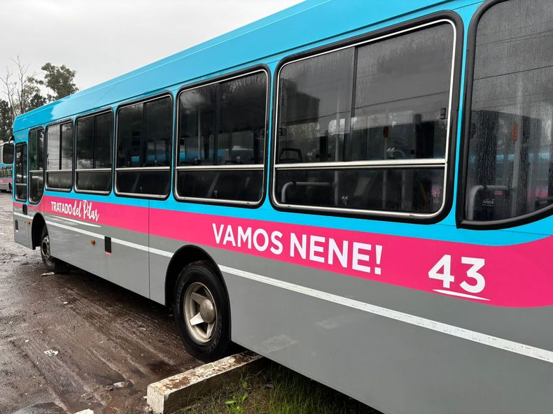 Colectivo Colapinto Vamos Nene!.jpeg