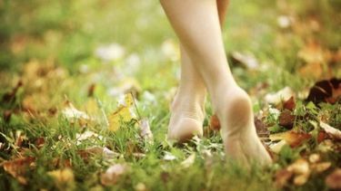 earthing: los beneficios de conectar con la tierra este otono