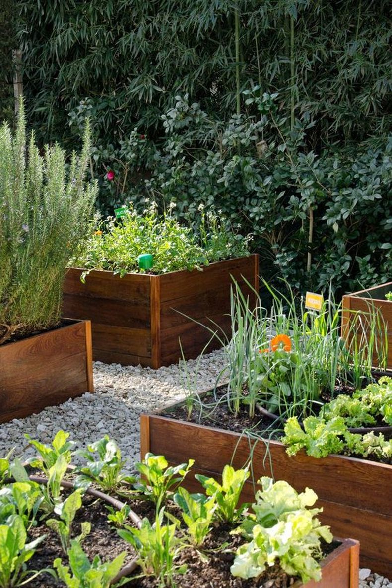 Alimentos para la huerta. (Para Ti).
