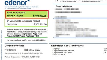 IMPAGABLE. Una factura de 103 mil pesos en una casa de familia.
