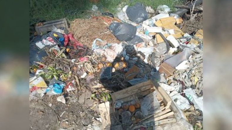 Esto es el basural de la calle Seguí y Los Aromos, en La Lonja. Se llena de camiones municipales trayendo basura de todos lados y prenden fuego. Nos tapa el humo y tenemos que tener todo cerrado. Por favor si nos pueden ayudar. Las fotos son solo de la entrada, al fondo del predio están las montañas de mugre. Carlos Ros..
