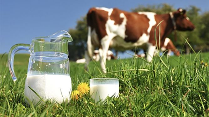 ¡Sí a la leche!