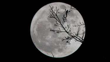 luna llena en escorpio: las mas intensa del ano