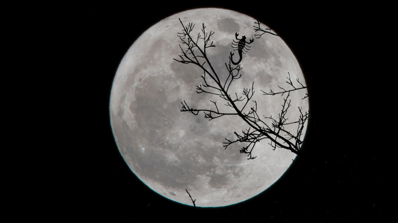f800x450 103024_154470_5050.png