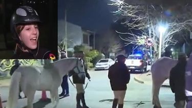 La joven que ayudó a rescatar a los caballos y los animales siendo llevados nuevamente a Campo de Mayo.