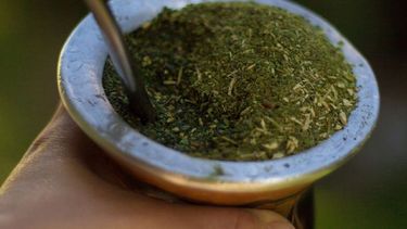 los beneficios del mate para la salud