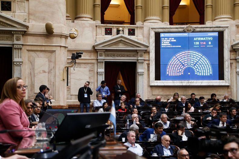 SESIÓN ESPECIAL. Cecilia Moreau presidió el debate en Diputados.