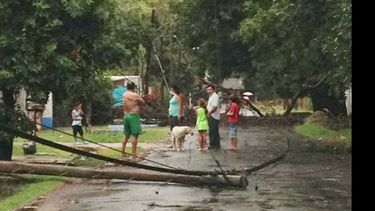 Poste, árboles y ramas caídos en la calle Isaac del centro de Del Viso, donde el temporal se sintió con más fuerza..