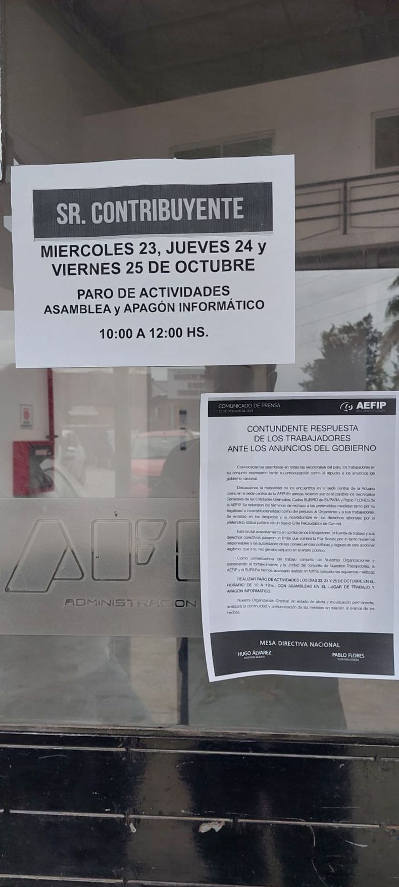 WhatsApp Image 2024-10-23 at 11.01.21.jpeg