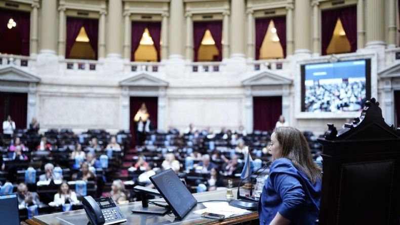 PRESIDENTA. Cecilia Moreau, titular de la Cámara Bajo, llamó al diálogo. .
