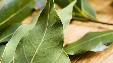 hojas de laurel: ¿que significa colocarlas en la billetera?
