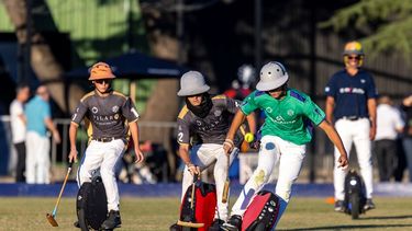 El Roda Polo ya está en más de 10 países del mundo.