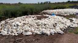 Los vecinos afectados afirman que el olor en la zona es nauseabundo y temen por las consecuencias para la salud. Los vecinos afectados afirman que el olor en la zona es nauseabundo y temen por las consecuencias para la salud.