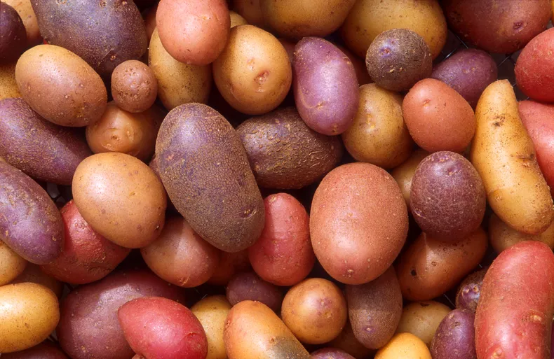 Existen más de 5.000 variedades de papas. (Infobae)..webp
