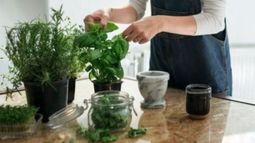 El remedio natural, ecológico y barato para cuidar tus plantas esta primavera