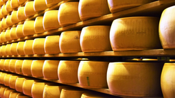 Un queso parmesano argentino fue reconocido mundialmente