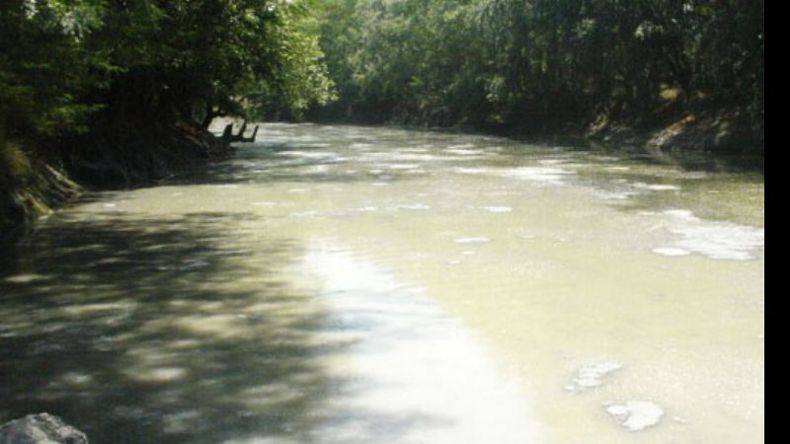 f800x450 39659_91105_5050.jpg