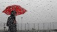 La Lonja fue la localidad más afectada por la lluvia en lo que va del día.&nbsp;