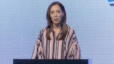 ANUNCIO. Vidal aclaró que los anuncios no tienen fines electorales..