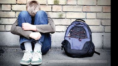 PROBLEMA. El Bullying debe ser abordado desde el jardín de infantes..