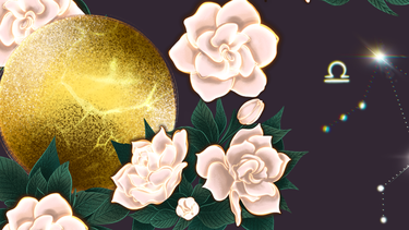 ¿cual es tu flor segun tu signo del zodiaco?