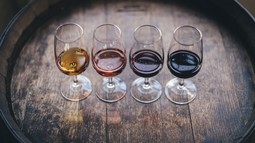 Día del Vino Argentino Bebida Nacional: ¿por qué se celebra el 24 de noviembre?