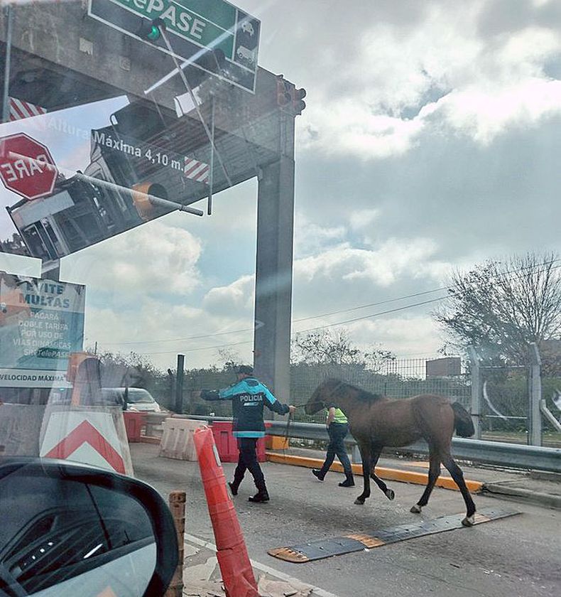 Argentina... No lo entenderías. Pagará peaje? LaPanaWeb / @lapanaweb.&nbsp; &nbsp;