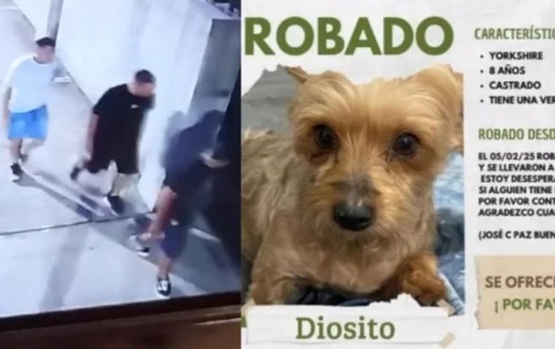 Los delincuentes y el perro robado en José C. Paz.