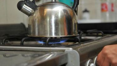 GAS. Se espera que a fines de la semana que viene la Cámara defina la apelación..