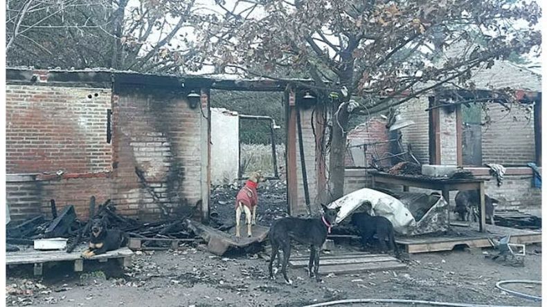 RUINAS. Así se veía por la mañana el criadero destruido..