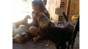 AMORES PERROS. Mili, on sus amigos peludos..