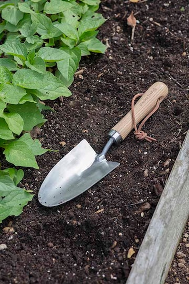 Elegir el sustrato. (© Garden Trading).png