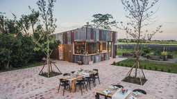 El primer viñedo en San Antonio de Areco la está rompiendo