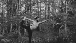 El encuentro de Tai Chi será conducido por Witus Milanowski McLoughlin. El encuentro de Tai Chi será conducido por Witus Milanowski McLoughlin.