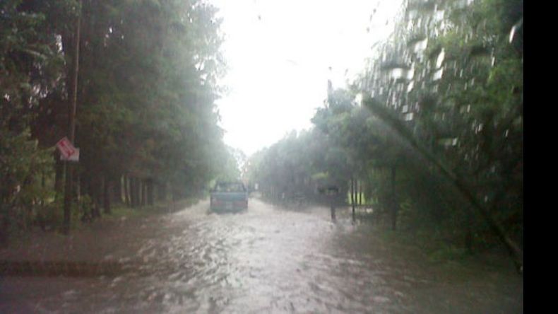 Calle El Petrel. Acceso al Parque Industrial..