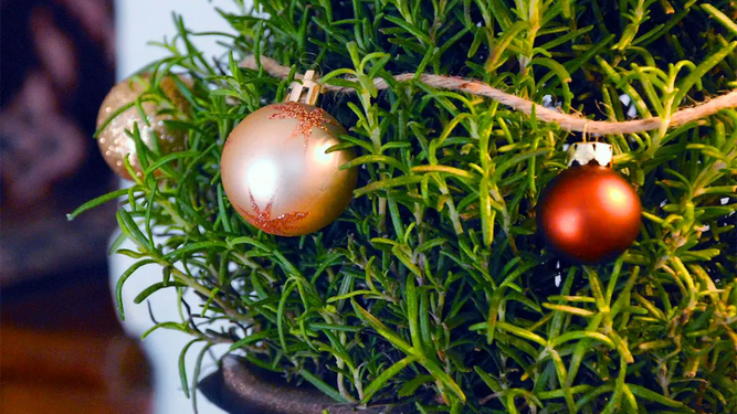 Ritual de romero para la abundancia antes de Navidad