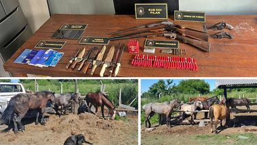 ARMAS Y CABALLOS. Hubo allanamientos en Pilar, Campana y La Matanza.