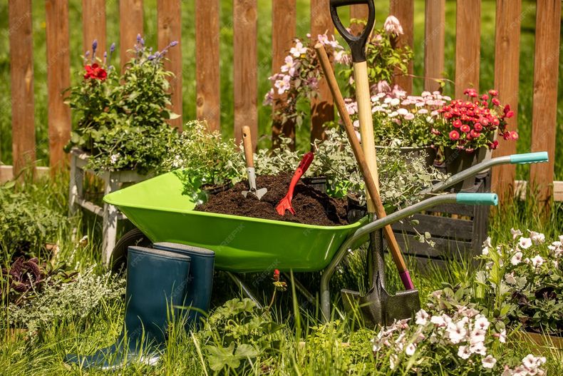 Las tareas básicas para preparar bien el jardín en primavera. (freepik.es).
