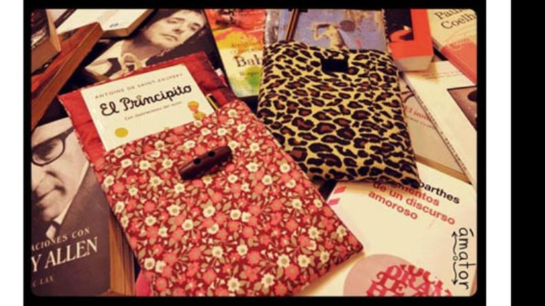 Ámator para libros, la idea de Noelia Manso..