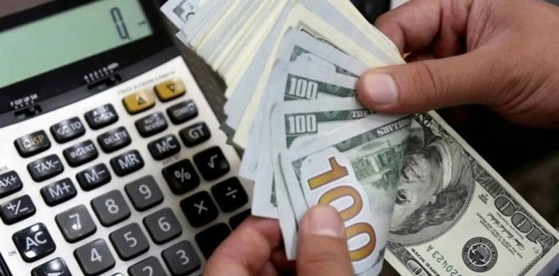 Mir a cunto cotiza el dlar blue el dlar ahorro el dlar tarjeta y el dlar turista en Argentina segn el promedio del Banco Central