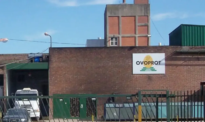 PRODUCCION LOCAL. En la planta de Pilar se procesan cerca de dos millones de huevos por día.