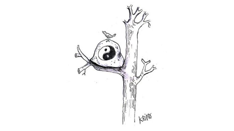 f800x450 54879_106325_5050.jpg
