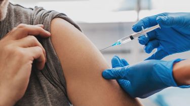 Los ministros de Salud de la Ciudad de Buenos Aires y la Provincia advirtieron sobre el posible aumento de casos de dengue en el AMBA.